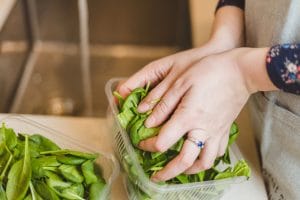 Person preparing fresh spinach leaves from container.